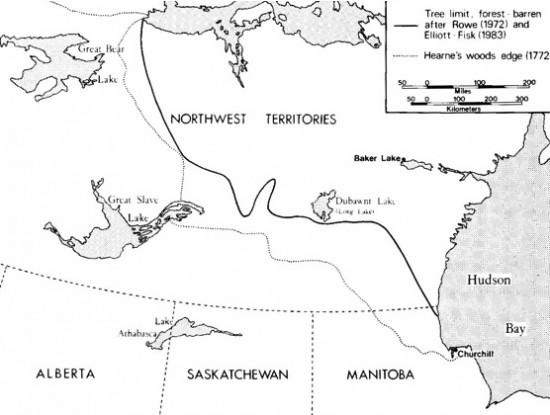 Northern Tree Line