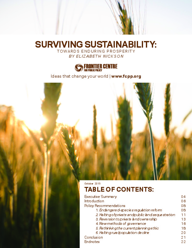 Surviving Sustainability: Towards Enduring Prosperity