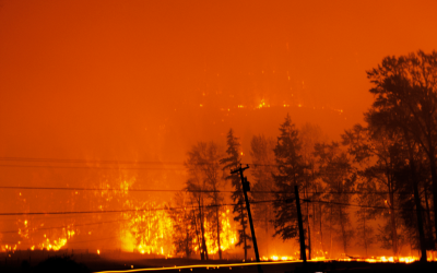 Were the Canadian Fires Deliberately Set?