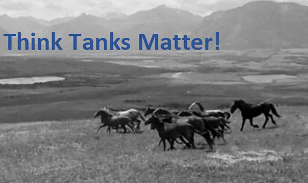 Think Tanks Matter