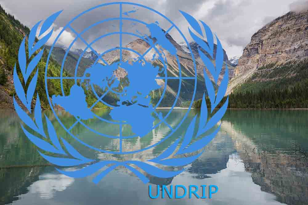 UNDRIP Is Coming At You