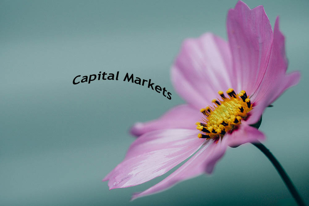 Let a Thousand Capital Markets Bloom