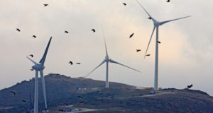 Revisiting Wind Turbine Impacts