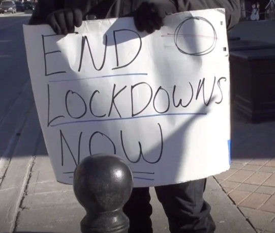 The Anti-Lockdown Movement Is Large and Growing (AIER)