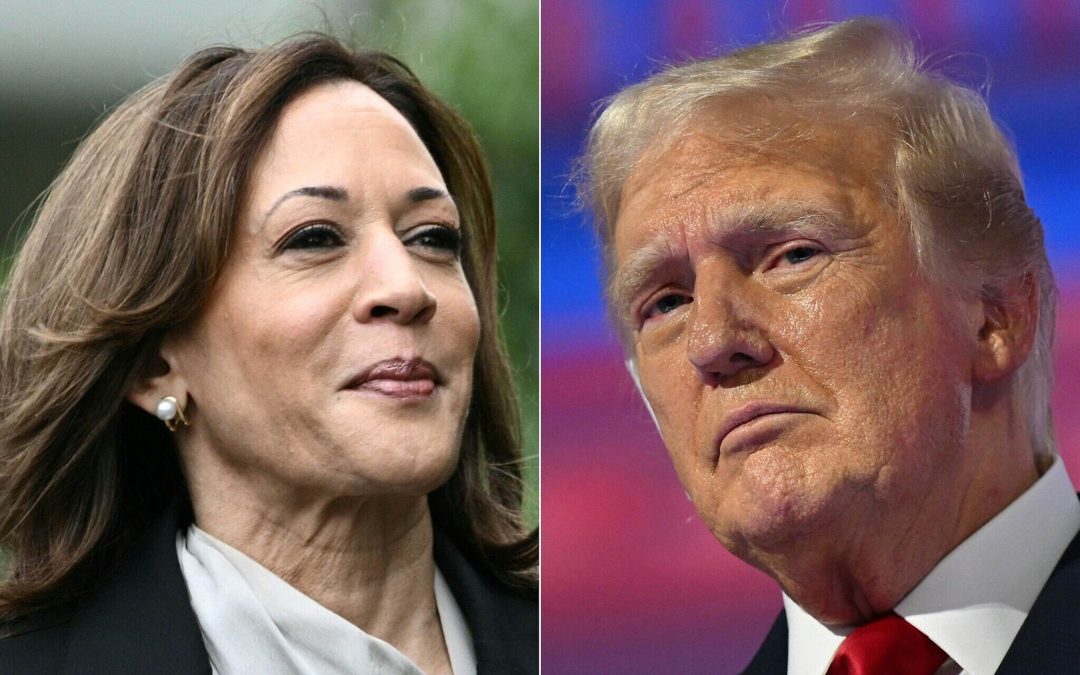 Which presidential candidate would be better for Canada Harris or Trump?