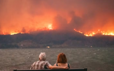 Are wildfires a sign of climate emergency?