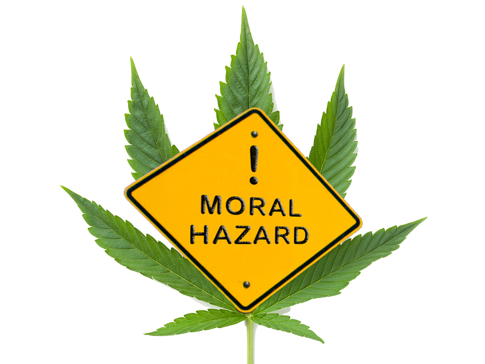 A Lesson About Moral Hazard